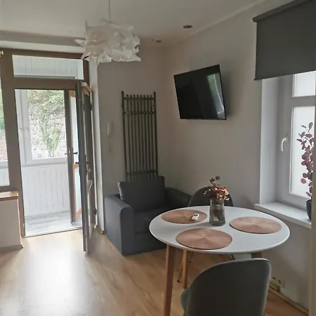 公寓 Goscinne Kamil 2 卡尔帕奇