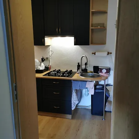 Goscinne Kamil 2 公寓 卡尔帕奇